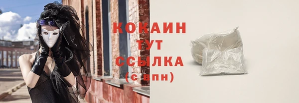 PSILOCYBIN Покачи