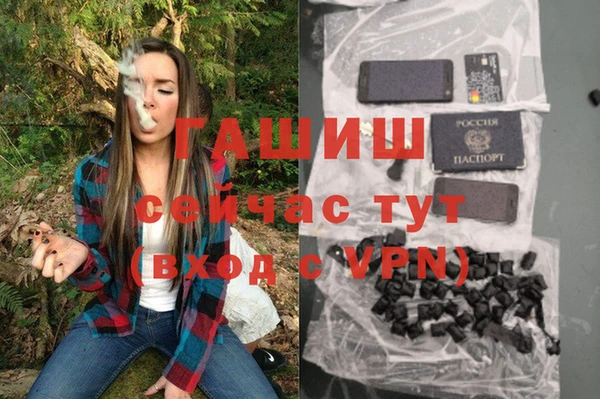 PSILOCYBIN Покачи
