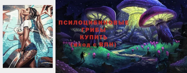 Альфа ПВП Покров