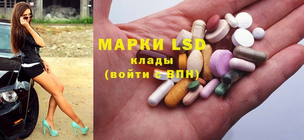 PSILOCYBIN Покачи